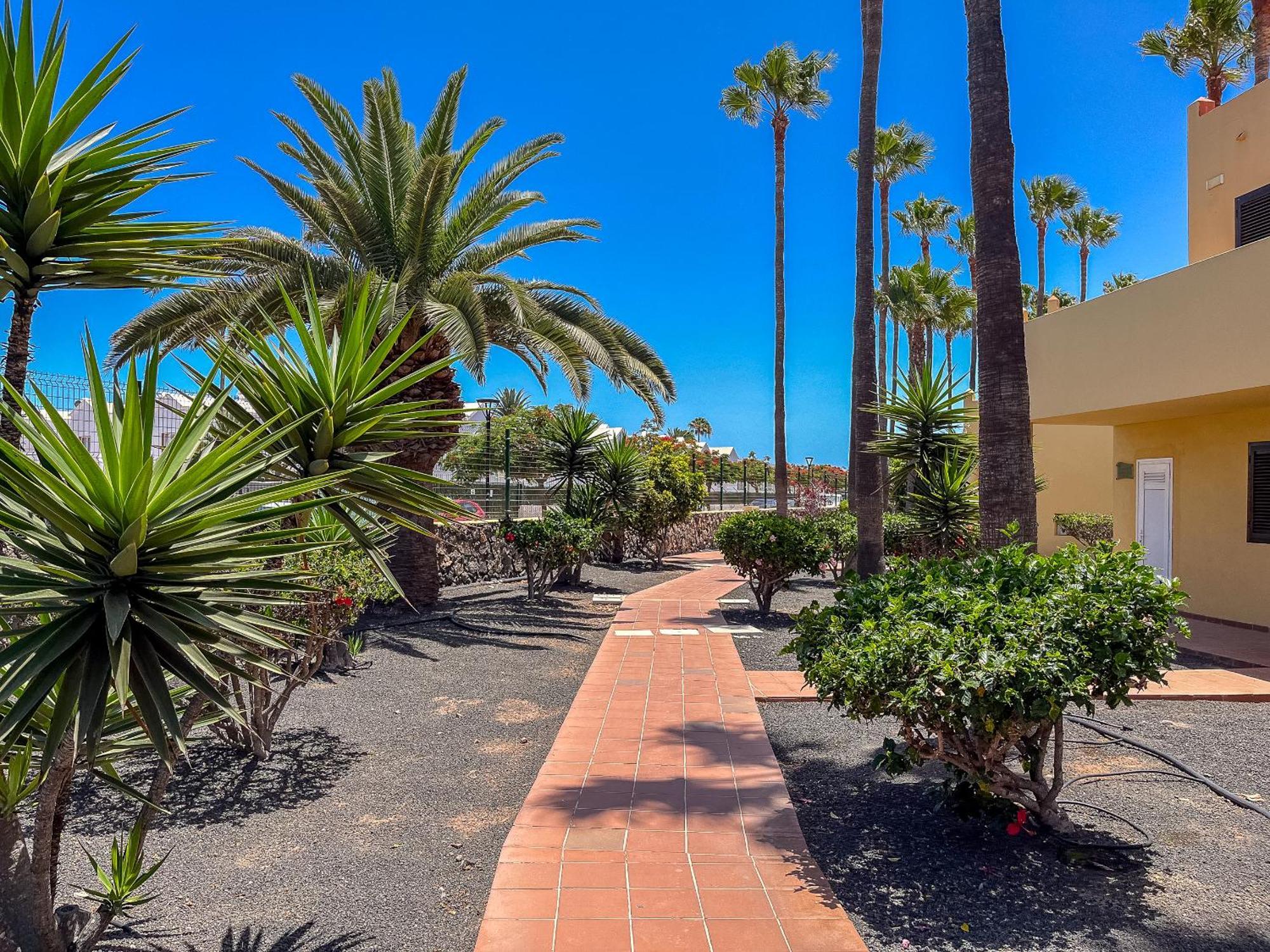 Apartamentos Oasis Royal Corralejo F314 Bagian luar foto