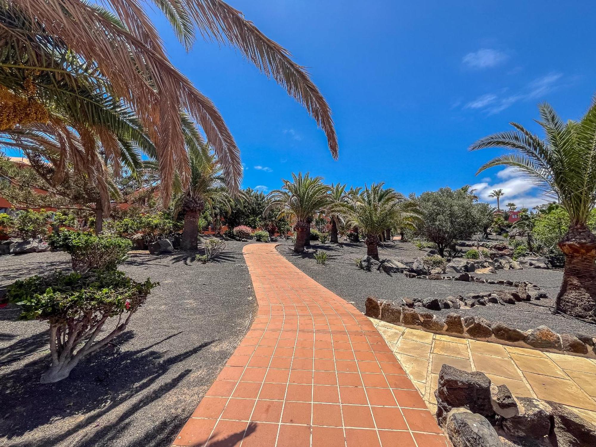 Apartamentos Oasis Royal Corralejo F314 Bagian luar foto