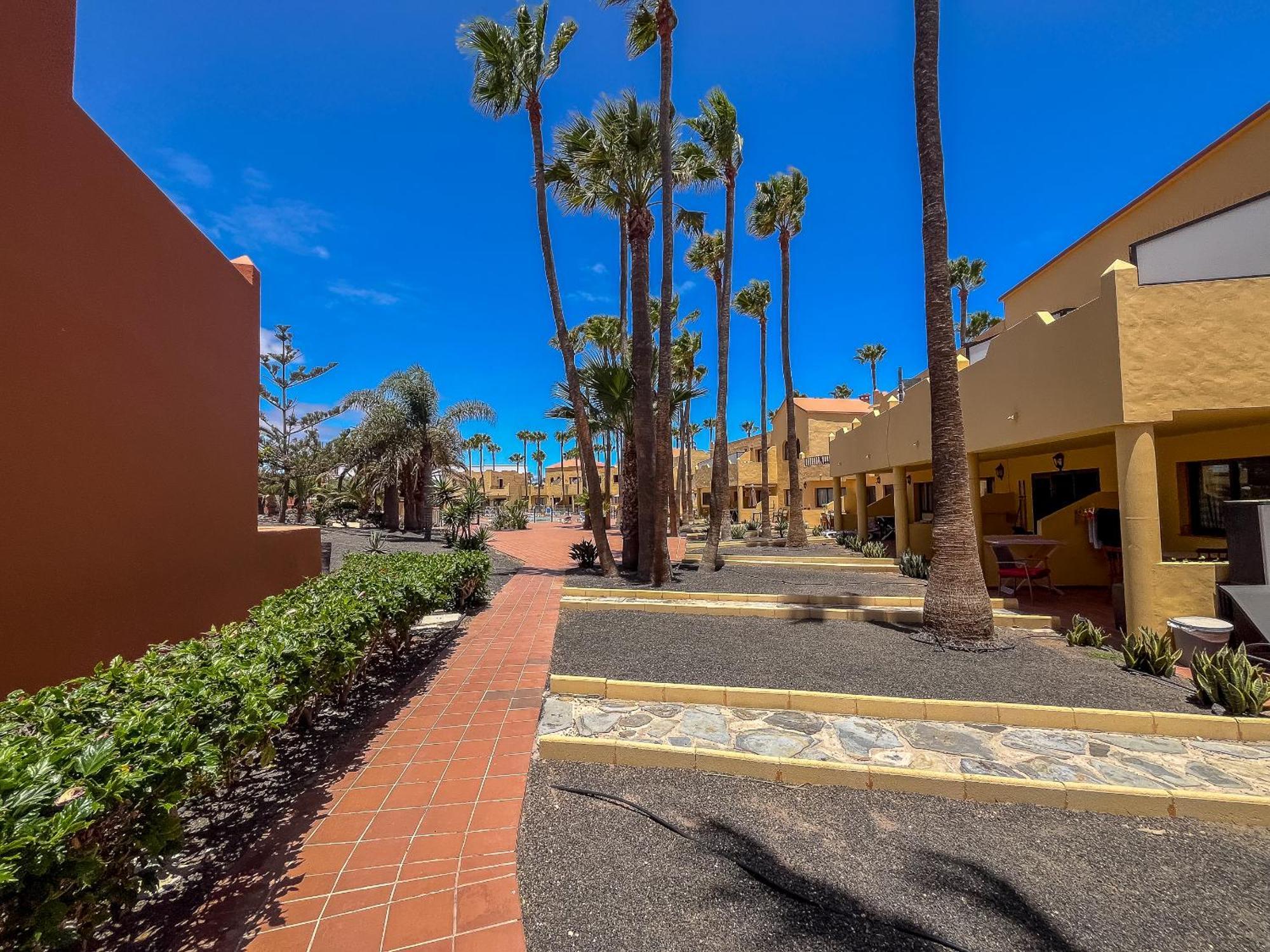 Apartamentos Oasis Royal Corralejo F314 Bagian luar foto
