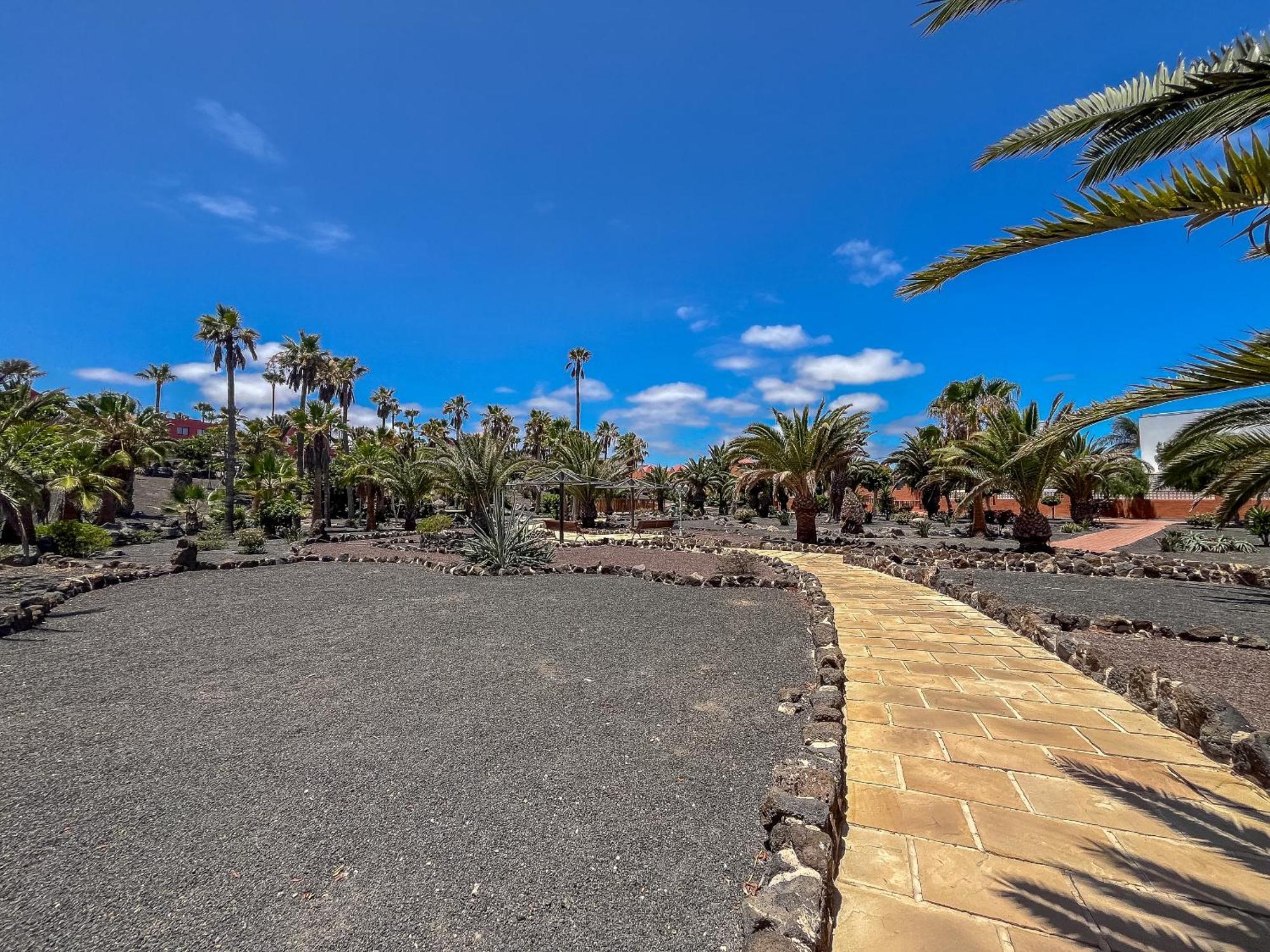 Apartamentos Oasis Royal Corralejo F314 Bagian luar foto