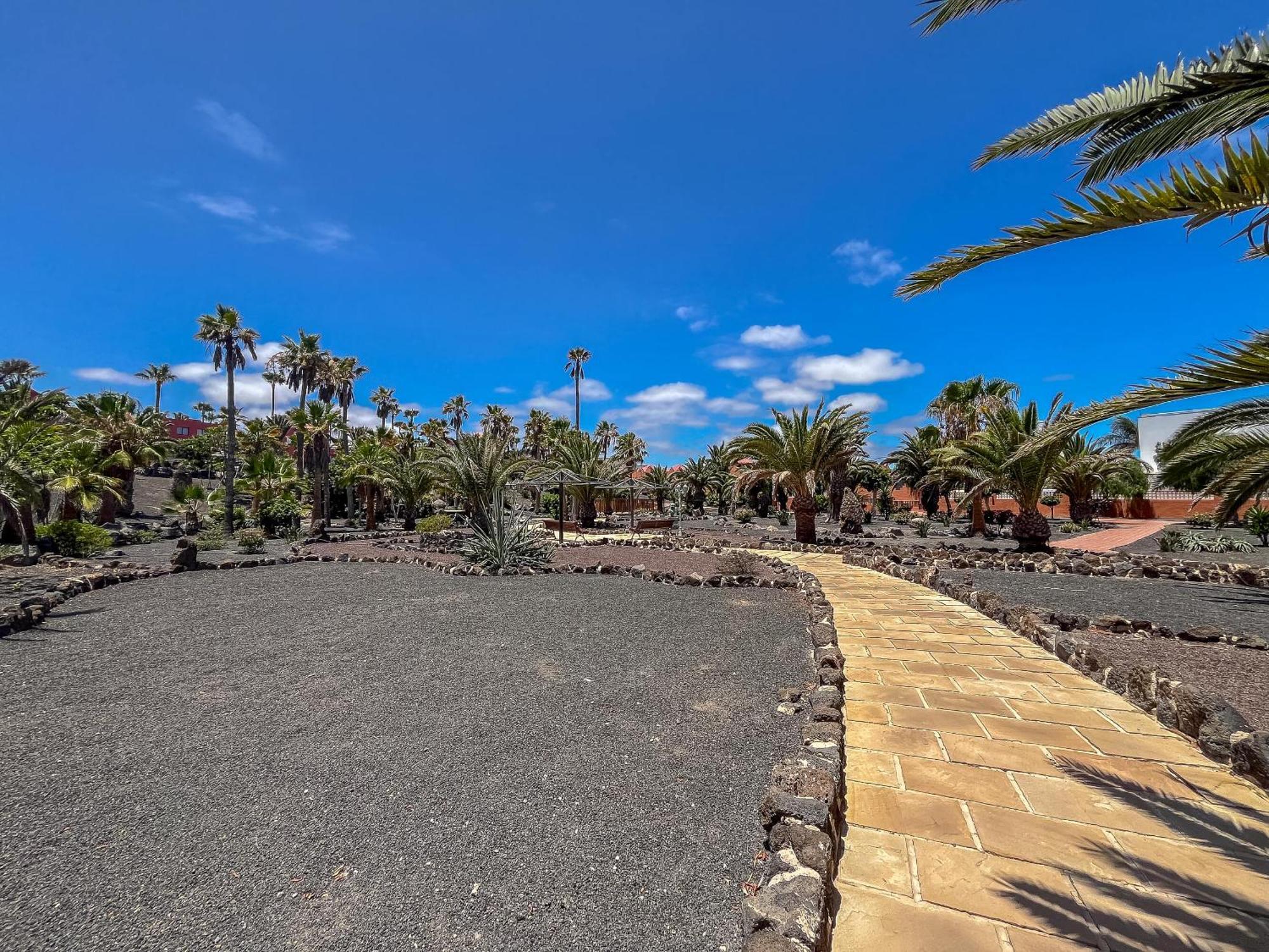 Apartamentos Oasis Royal Corralejo F314 Bagian luar foto